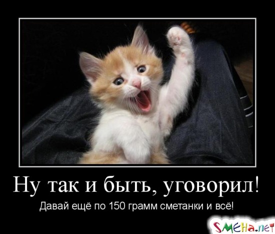Ну так и быть, уговорил! Давай ещё по 150 грамм сметанки и всё!