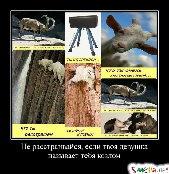 Не расстраивайся, если твоя девушка называет тебя козлом