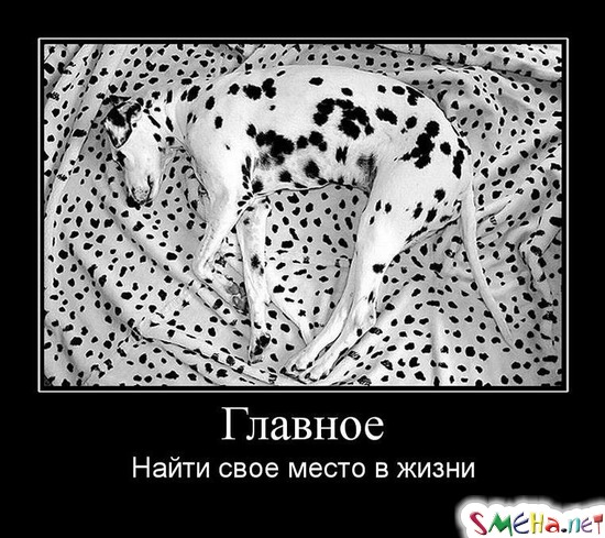 Главное - Найти свое место в жизни