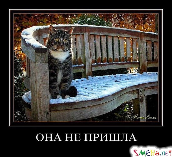 ОНА НЕ ПРИШЛА