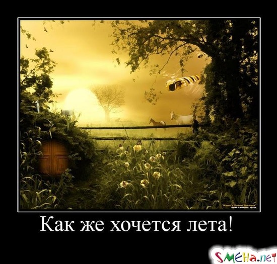 Как же хочется лета!