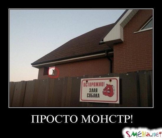 ПРОСТО МОНСТР!