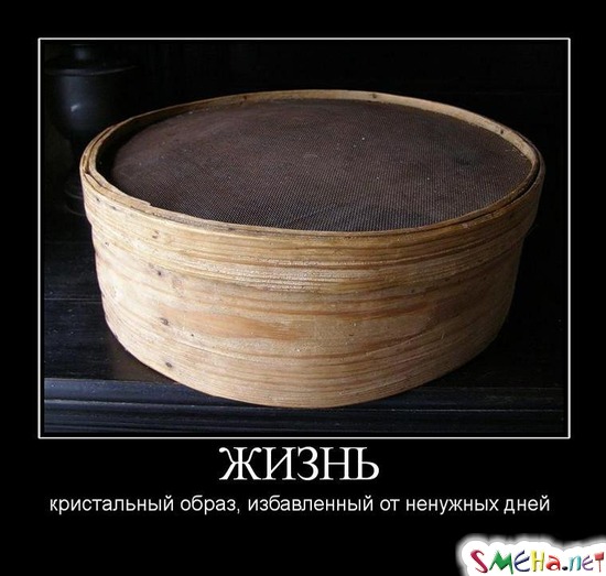 ЖИЗНЬ - кристальный образ, избавленный от ненужных дней
