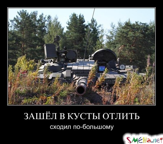 ЗАШЁЛ В КУСТЫ ОТЛИТЬ - сходил по-большому