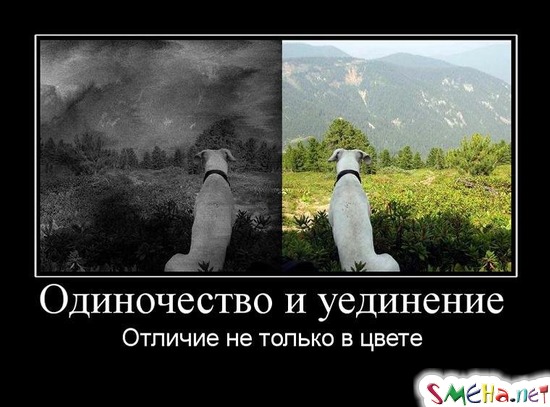 Одиночество и уединение - Отличие не только в цвете