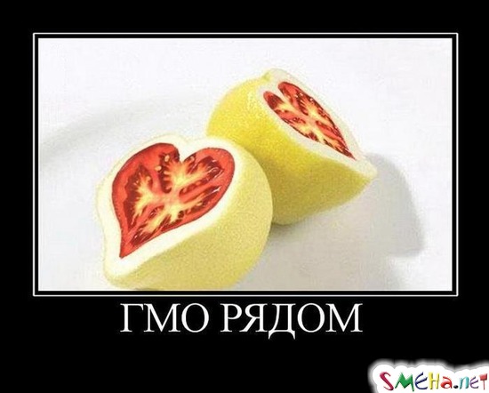 ГМО РЯДОМ