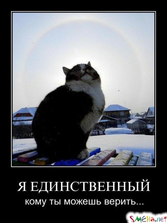 Я ЕДИНСТВЕННЫЙ - кому ты можешь верить...