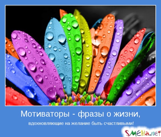 Мотиваторы - фразы о жизни, вдохновляющие на желание быть счастливыми!