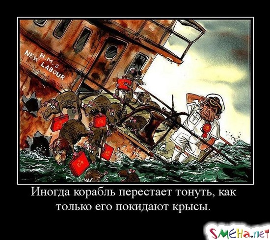 Иногда корабль перестает тонуть, как только его покидают крысы.