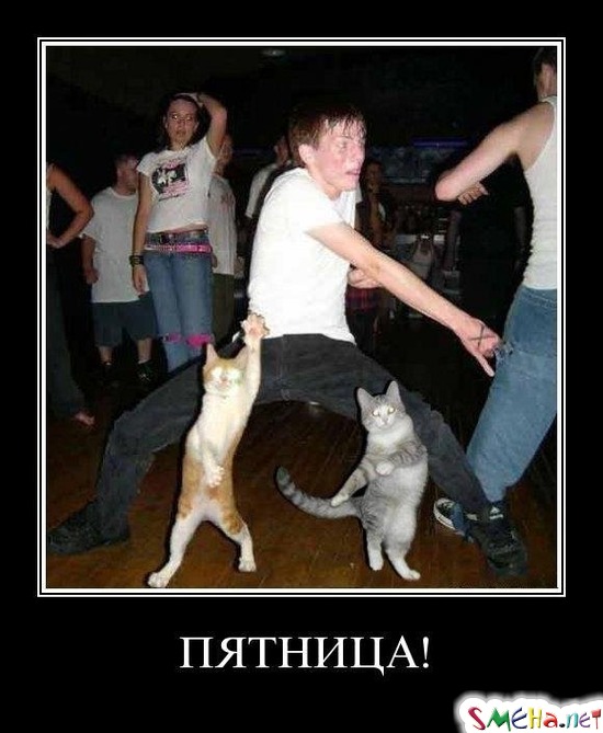 ПЯТНИЦА!