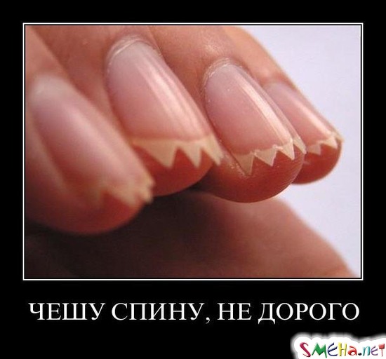 ЧЕШУ СПИНУ, НЕ ДОРОГО