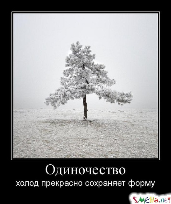 Одиночество - холод прекрасно сохраняет форму