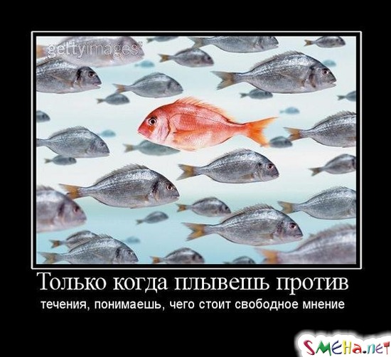 Только когда плывешь против течения, понимаешь, чего стоит свободное мнение