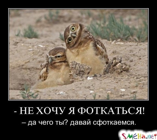 НЕ ХОЧУ Я ФОТКАТЬСЯ! - – да чего ты давай сфоткаемся