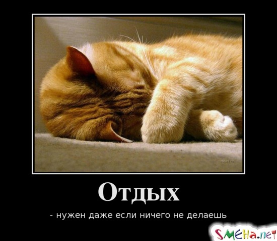 Отдых - нужен даже если ничего не делаешь