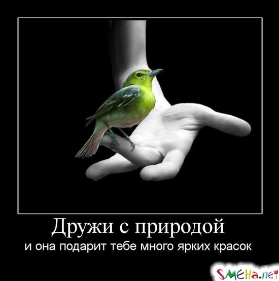 Дружи с природой и она подарит тебе много ярких красок