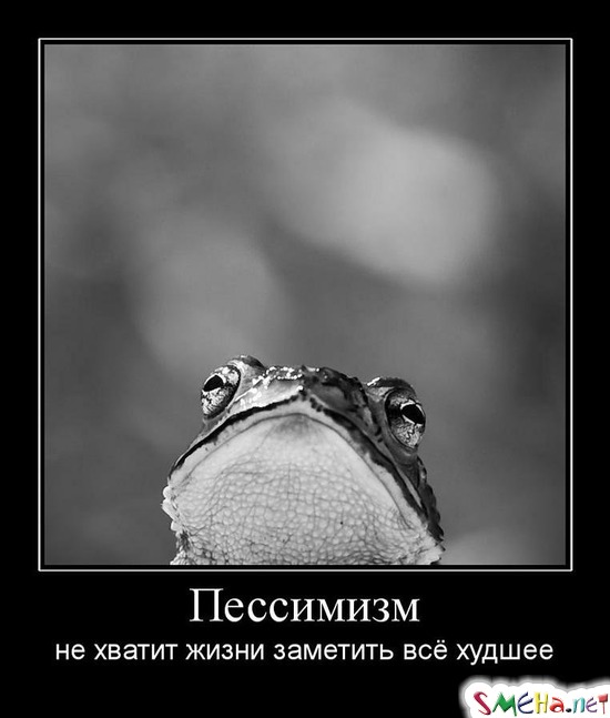 Пессимизм - не хватит жизни заметить всё худшее