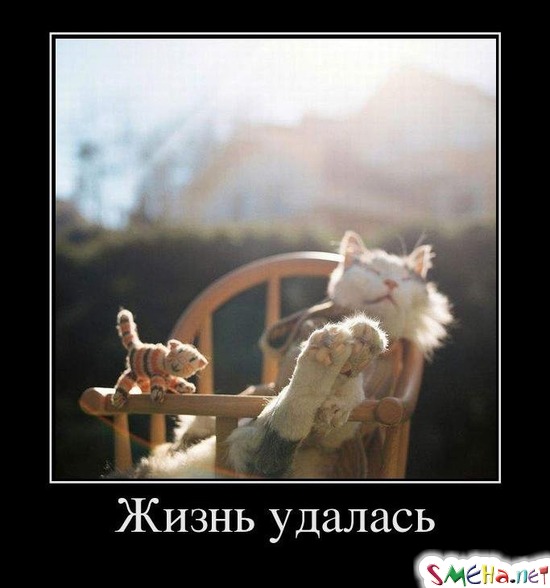 Жизнь удалась