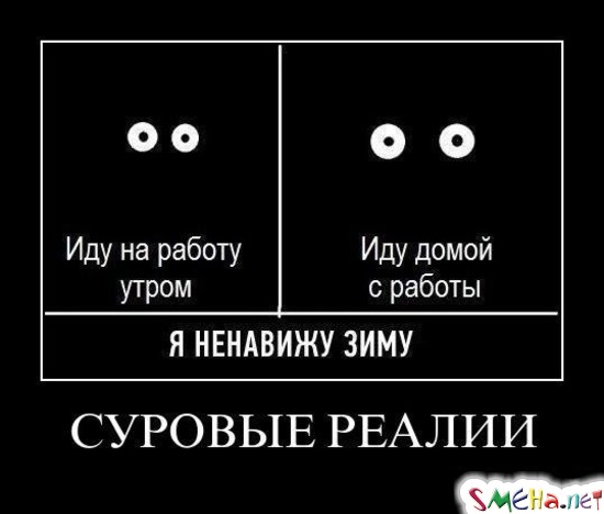СУРОВЫЕ РЕАЛИИ
