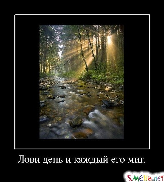 Лови день и каждый его миг.