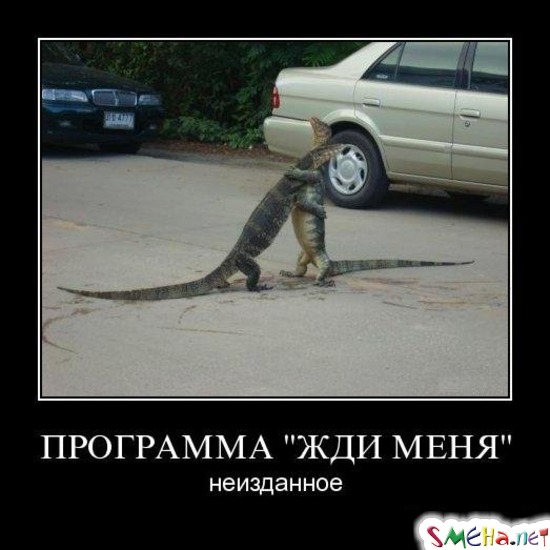 ПРОГРАММА "ЖДИ МЕНЯ" - неизданное
