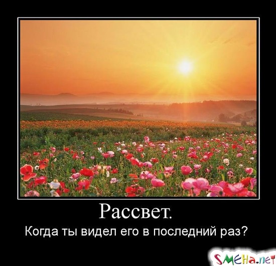 Рассвет. - Когда ты видел его в последний раз?