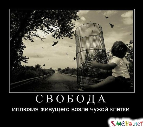СВОБОДА - иллюзия живущего возле чужой клетки