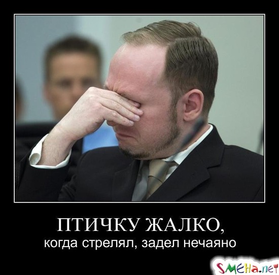 ПТИЧКУ ЖАЛКО, - когда стрелял, задел нечаяно