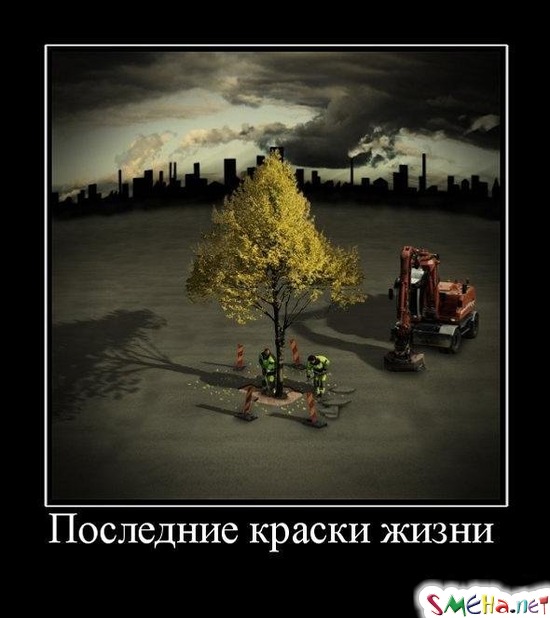 Последние краски жизни