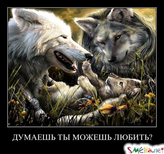 ДУМАЕШЬ ТЫ МОЖЕШЬ ЛЮБИТЬ?