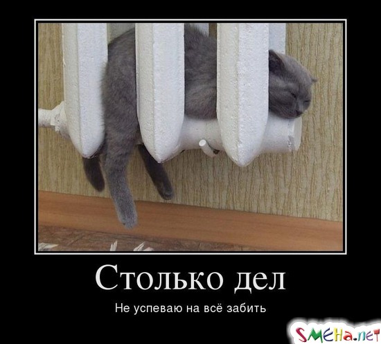 Столько дел - Не успеваю на всё забить