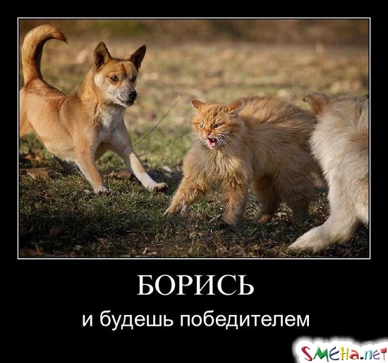 БОРИСЬ - и будешь победителем