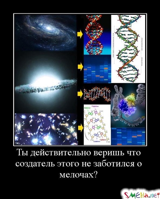 Ты действительно веришь что создатель этого не заботился о мелочах?
