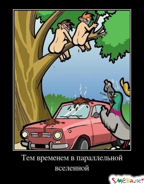 Тем временем в параллельной вселенной