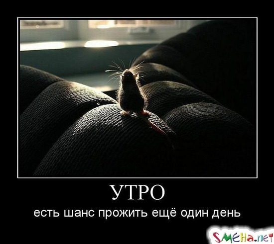 УТРО - есть шанс прожить ещё один день