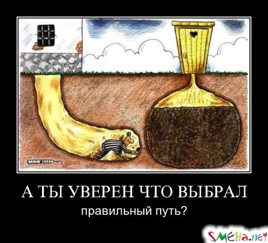 А ТЫ УВЕРЕН ЧТО ВЫБРАЛ - правильный путь?