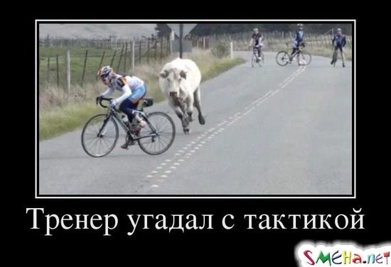 Тренер угадал с тактикой