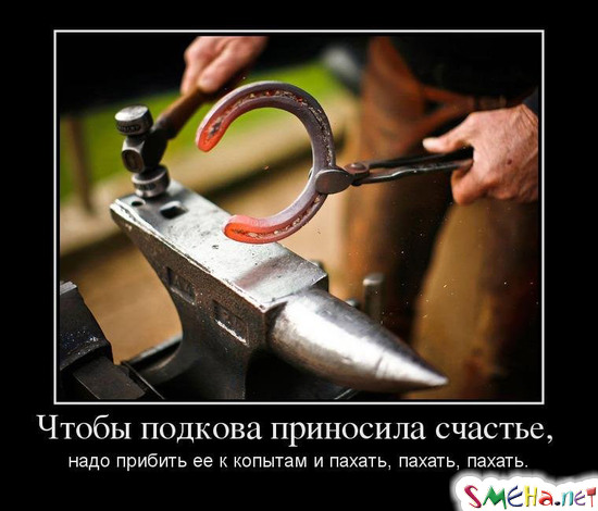 Чтобы подкова приносила счастье, надо прибить ее к копытам и пахать, пахать, пахать.
