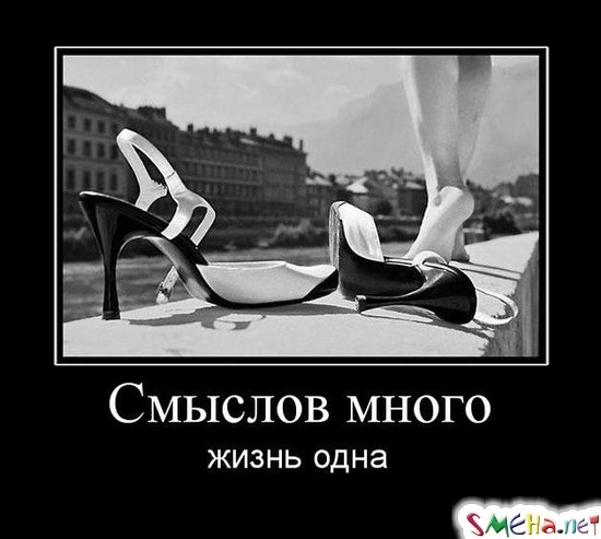 Смыслов много - жизнь одна