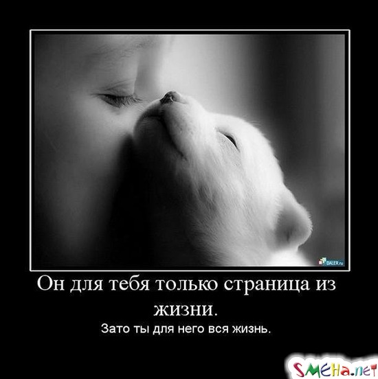 Он для тебя только страница из жизни. - Зато ты для него вся жизнь.
