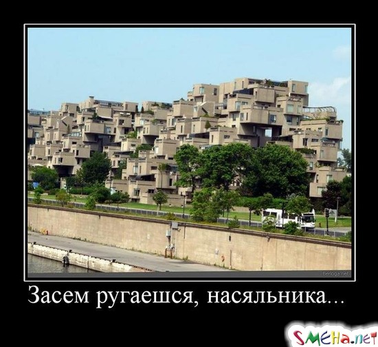 Засем ругаешся, насяльника...