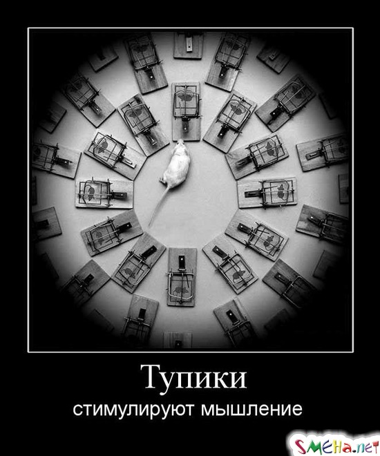 Тупики - стимулируют мышление