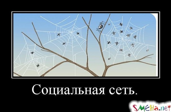 Социальная сеть.