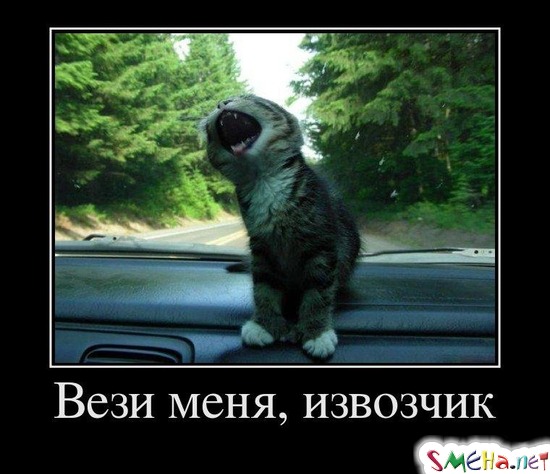Вези меня, извозчик