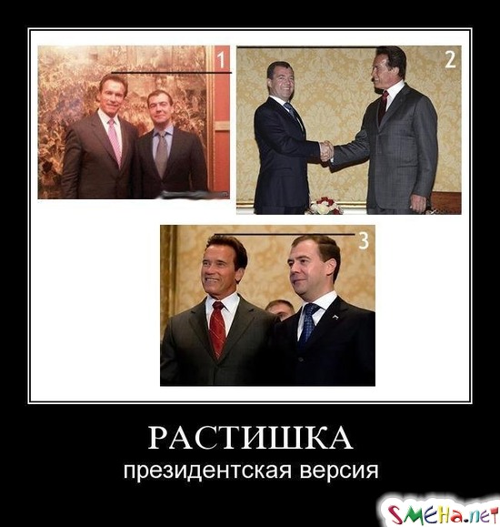 РАСТИШКА - президентская версия
