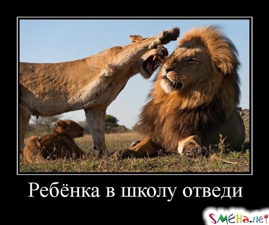 Ребёнка в школу отведи