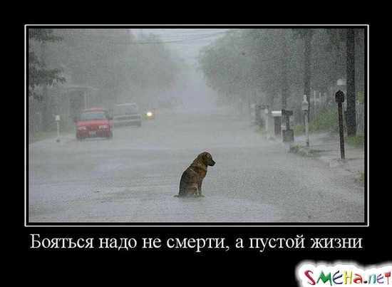 Бояться надо не смерти, а пустой жизни