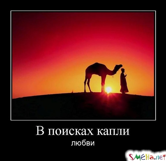 В поисках капли - любви