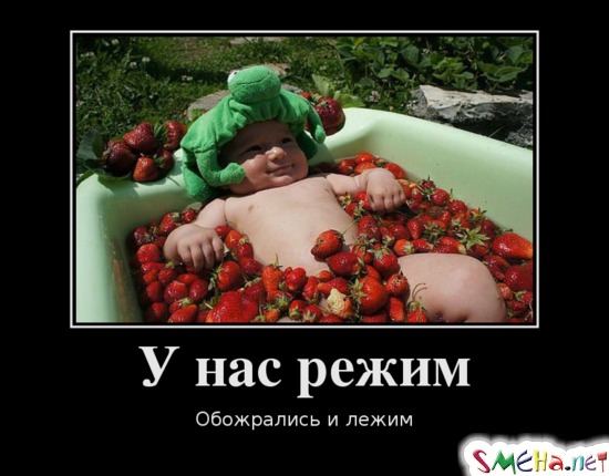 У нас режим - Обожрались и лежим