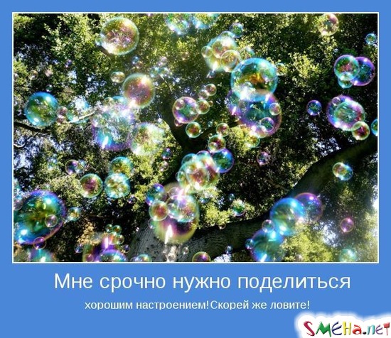 Мне срочно нужно поделиться хорошим настроением! Скорей же ловите!
